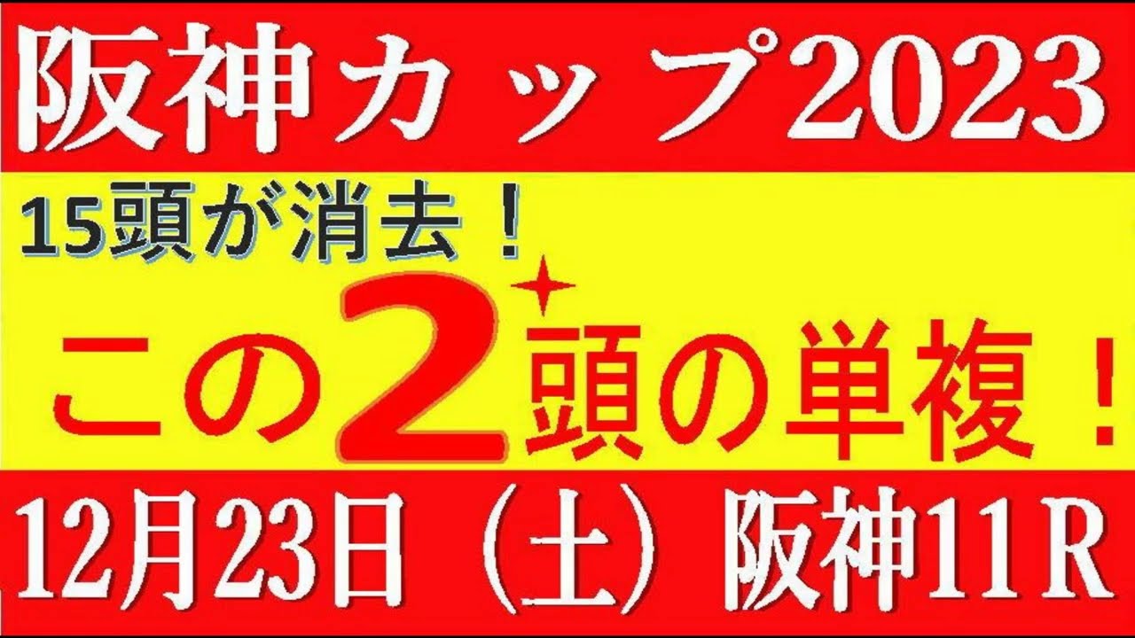 阪神カップ2023（阪神競馬）⚠️15頭が消える！消去法データ予想