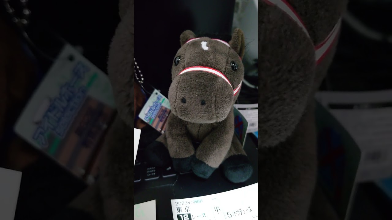 （馬）引退か　イクイノックス　討論会
