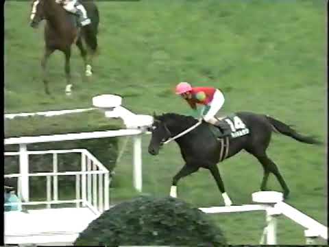 1999 シルクロードS マイネルラヴ
