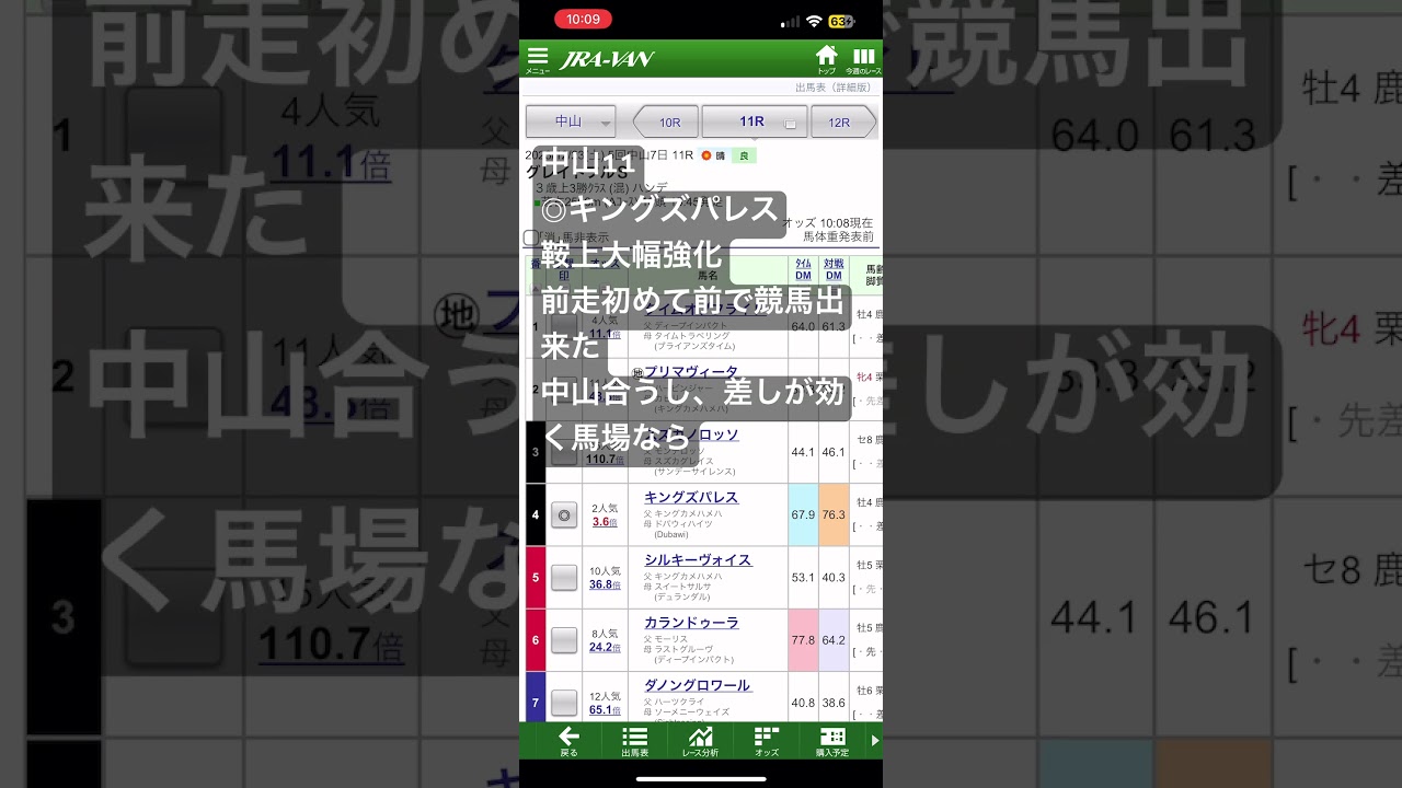 12/23 中山大障害、中山11、阪神最終　ヌロ競馬　厳選予想！！！#競馬#中山競馬#阪神競馬#競馬予想#有馬記念#中山大障害