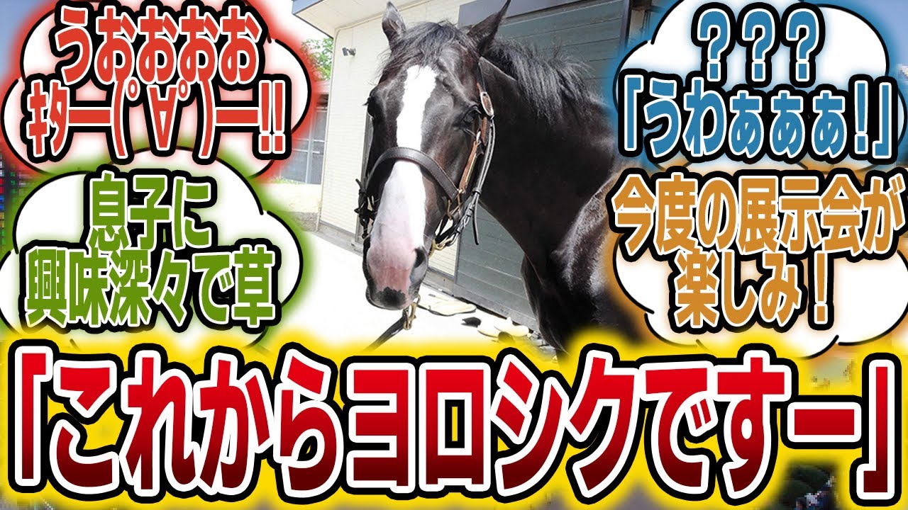 「イクイノックスの馬房の位置判明！！これは良いぞ・・・！！」に対するみんなの反応【競馬の反応集】