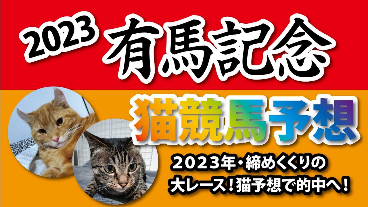 【競馬予想】#有馬記念 を猫に予想してもらいました。 #猫 #競馬予想