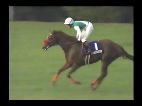 1999 阪神3歳牝馬S ヤマカツスズラン