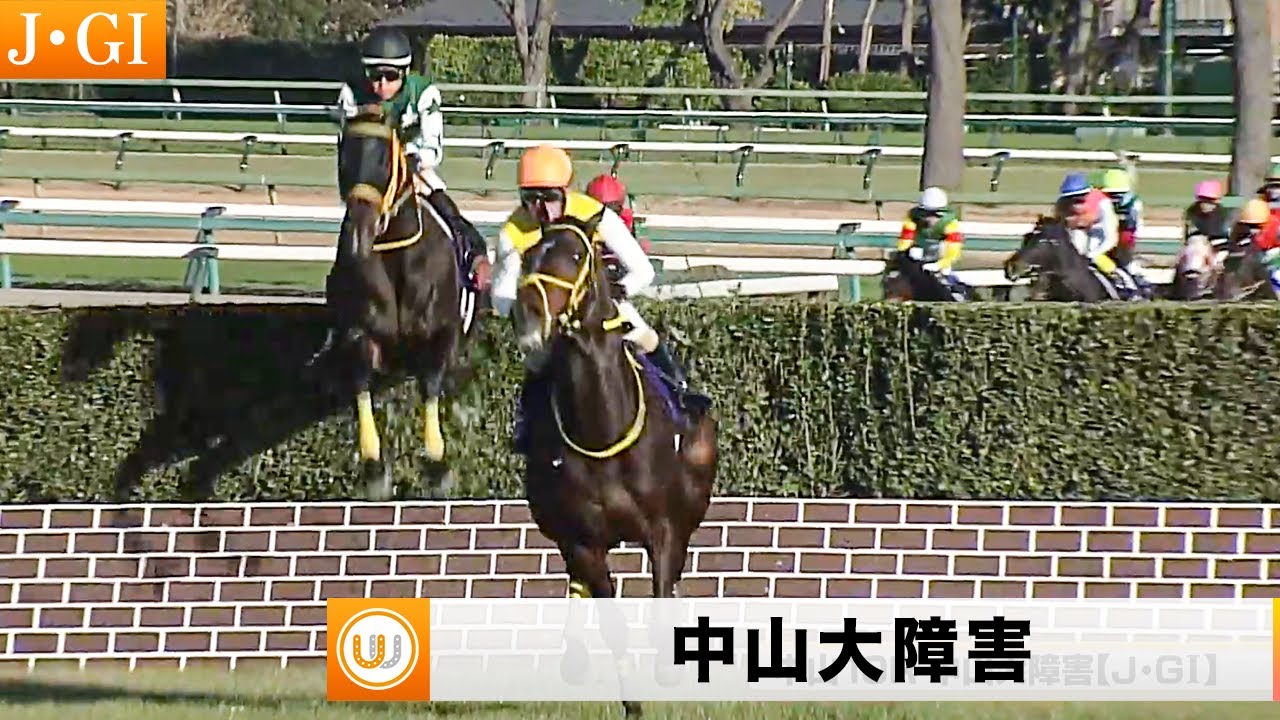 【2023】第146回 農林水産省賞典 中山大障害（J・GI）中山競馬場10R ｜ウイニング競馬 2023年12月23日（土）