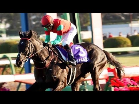 中山10R中山大障害2023マイネルグロン