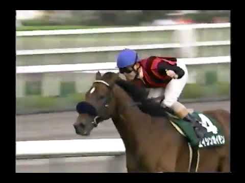 1999 セントウルS エイシンガイモン