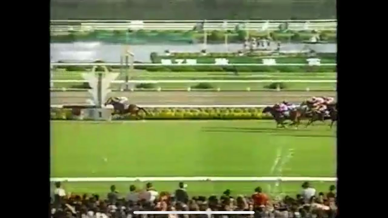 2002年 第7回 秋華賞 ファインモーション 【G1】