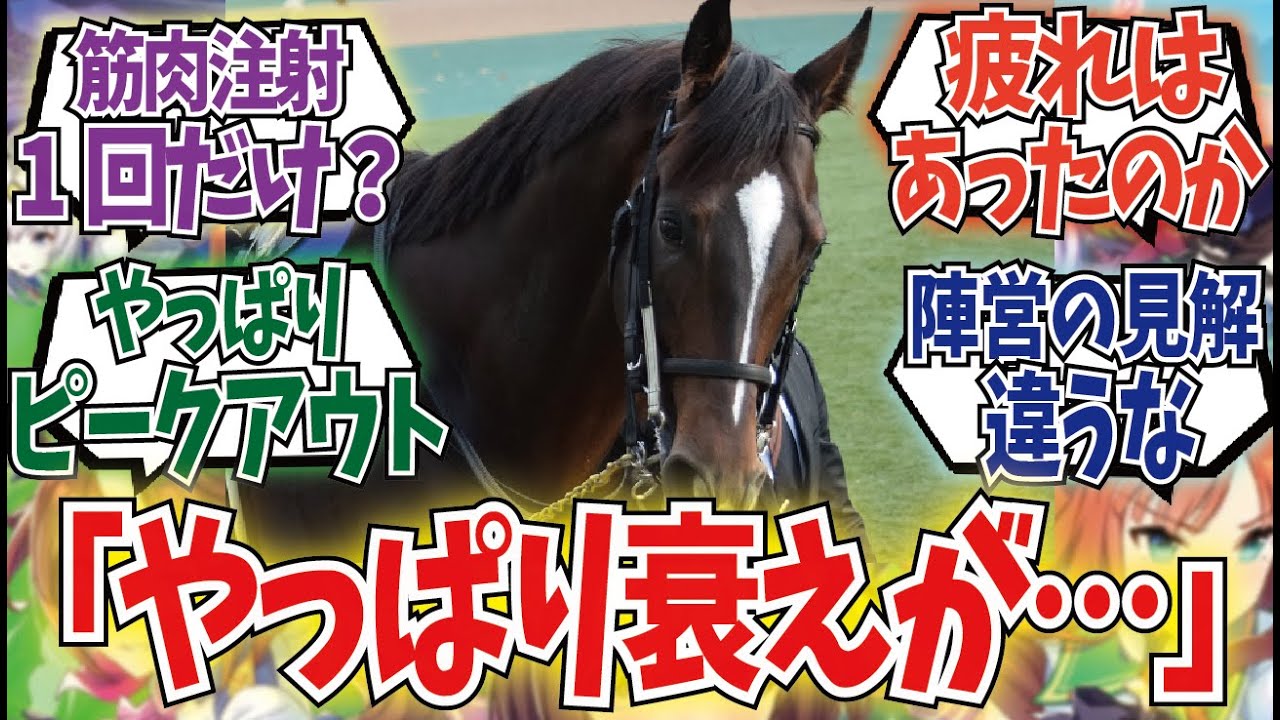 「キタサンブラックはなぜ筋肉注射を打ったのか」に対するみんなの反応集