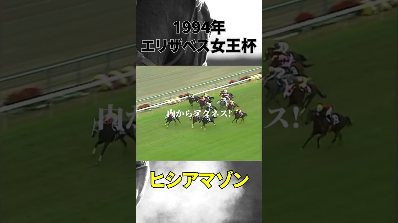 【競馬】1994年エリザベス女王杯　ヒシアマゾン　アメリカ生まれのその馬は自慢の豪脚で女王の座を手にした。 #競馬 #投資 #レース結果 #名馬 #shots