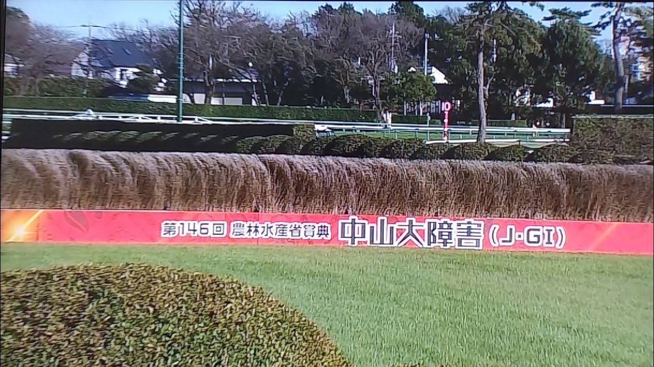 中山大障害の本馬場入場