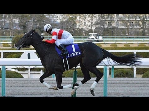 阪神11R朝日杯フューチュリティステークス2017ダノンプレミアム