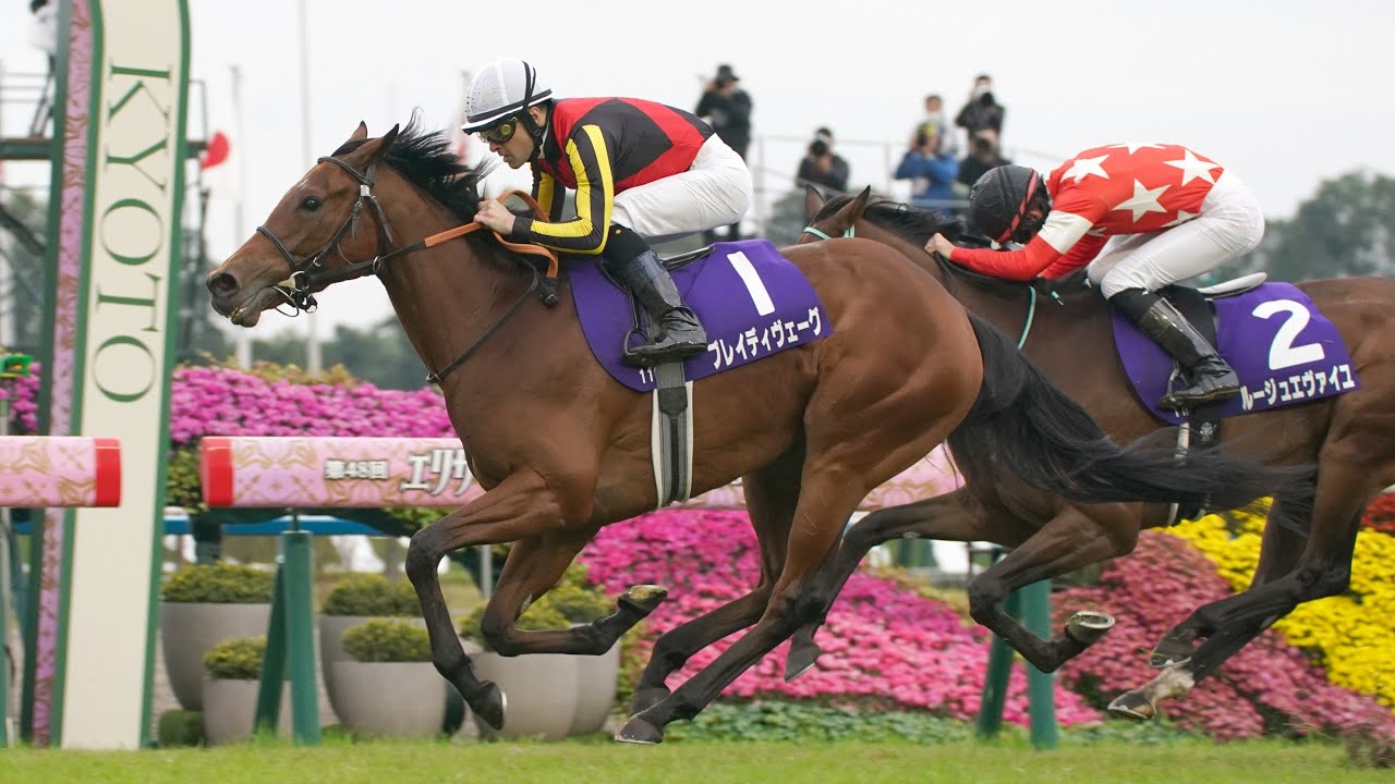 阪神11Rエリザベス女王杯2023ブレイディヴェーグ