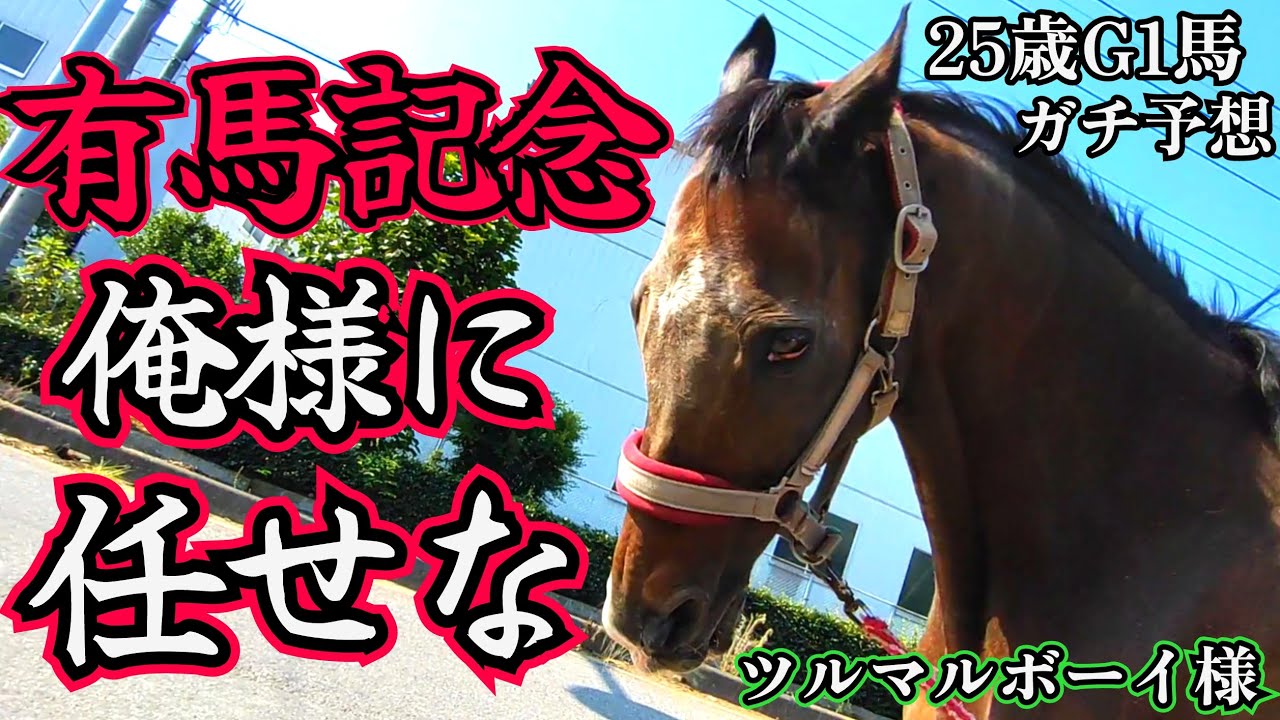 25歳のG1馬(有馬記念4着)が本気で今年の有馬記念を予想してみたら、予想外の出来事が起こりました…【ツルマルボーイ様のシモベ】