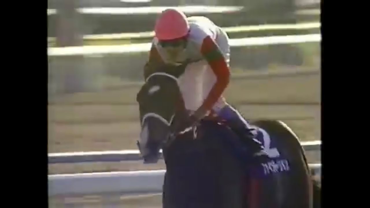 2002年 第27回 エリザベス女王杯 ファインモーション【G1】
