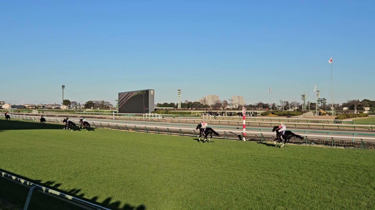 第146回中山大障害2023（圧勝マイネルグロン）