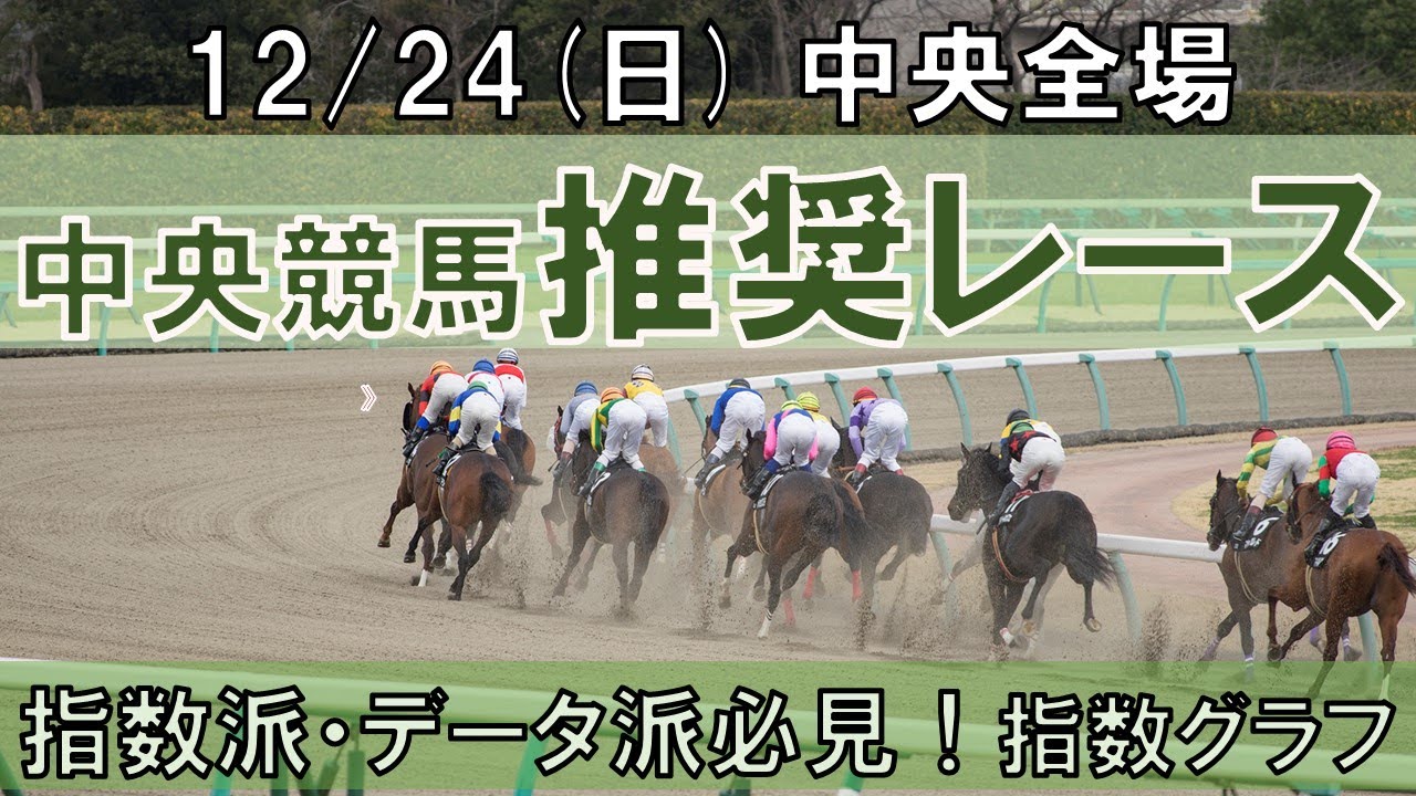 12/24(日) 中央競馬全場から推奨レースを紹介【中央競馬 指数グラフ・予想・攻略】中山競馬、阪神競馬