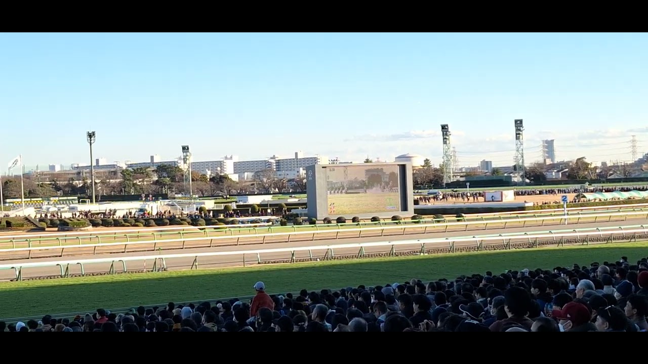 2023/12/23(土) 中山競馬場 10R 中山大障害 1着マイネルグロン