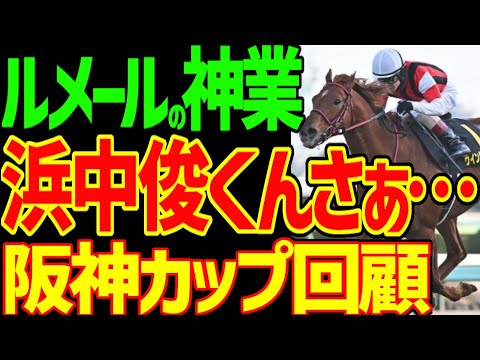 ルメールの神業騎乗！浜中俊の強引な戒告騎乗！有馬記念のスターズオンアースも期待できそうだけど…浜中くんさぁ…ダディーズビビッド騎乗やばいよ？2023年阪神カップ回顧動画【私の競馬論】【競馬ゆっくり】