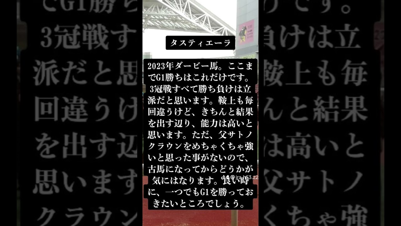 【第2弾 簡易有力馬見解】2023年、有馬記念！
