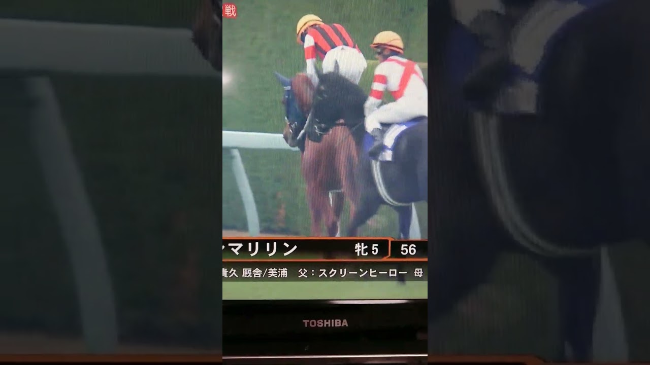 ウインマリリン応援☆本馬場入場#エリザベス女王杯2022