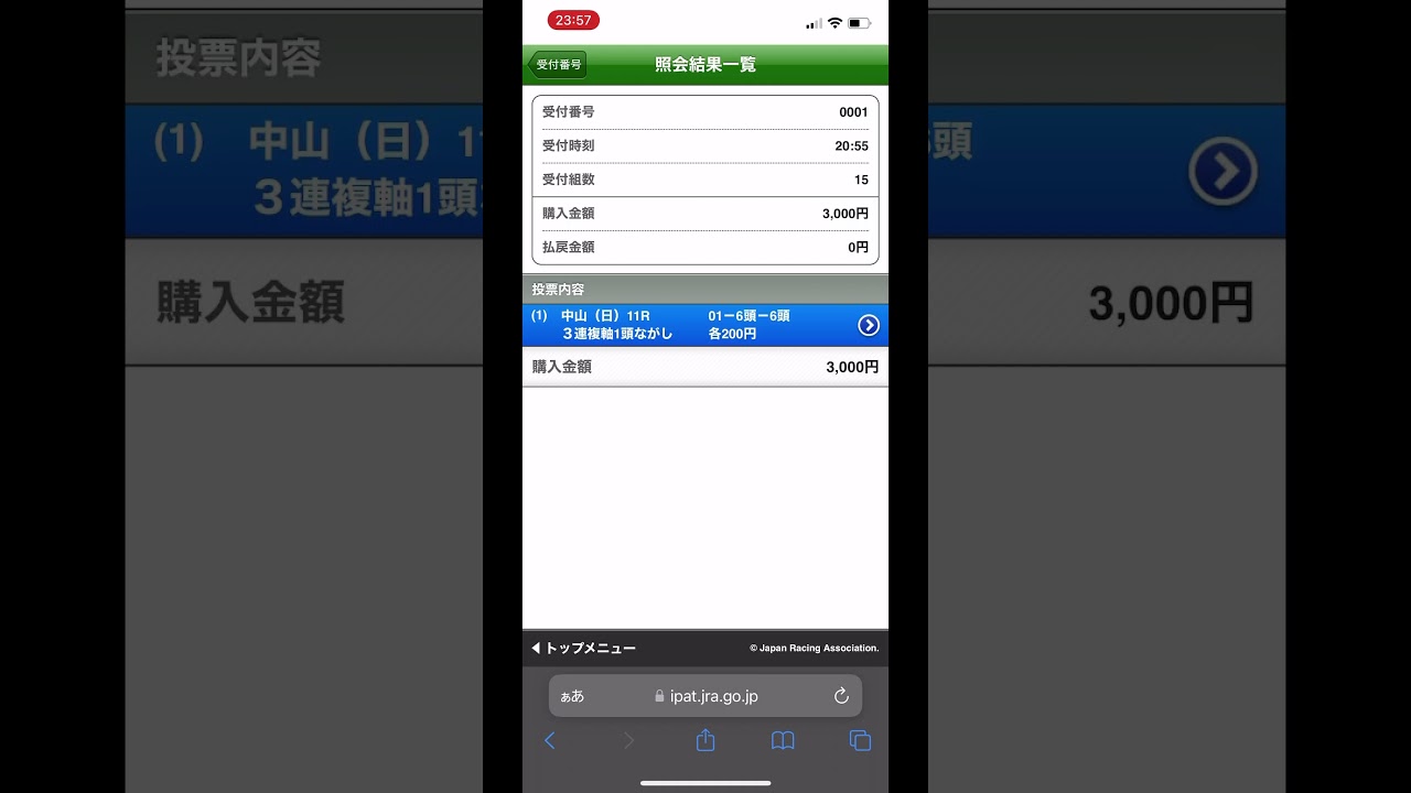2023年 有馬記念 (買い目の説明は説明欄に書いています) #有馬記念2023  #有馬記念 #競馬 #競馬予想
