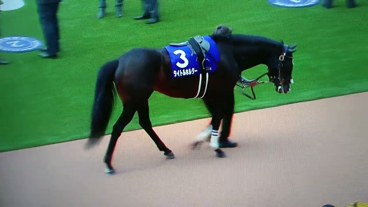 タイトルホルダー&メロディーレーンのパドック#天皇賞・春2023#タイトルホルダー