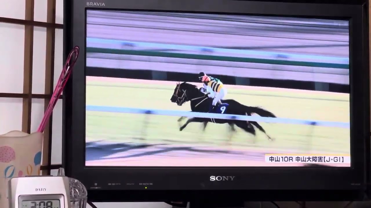 競馬　2023中山大障害