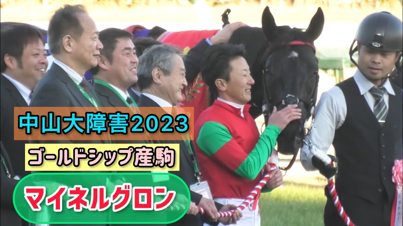 【ゴールドシップ産駒】祝🎉マイネルグロン勝利‼️なでなでされたり耳ぴこぴこされたり微笑ましい口取り☺️【中山大障害2023】
