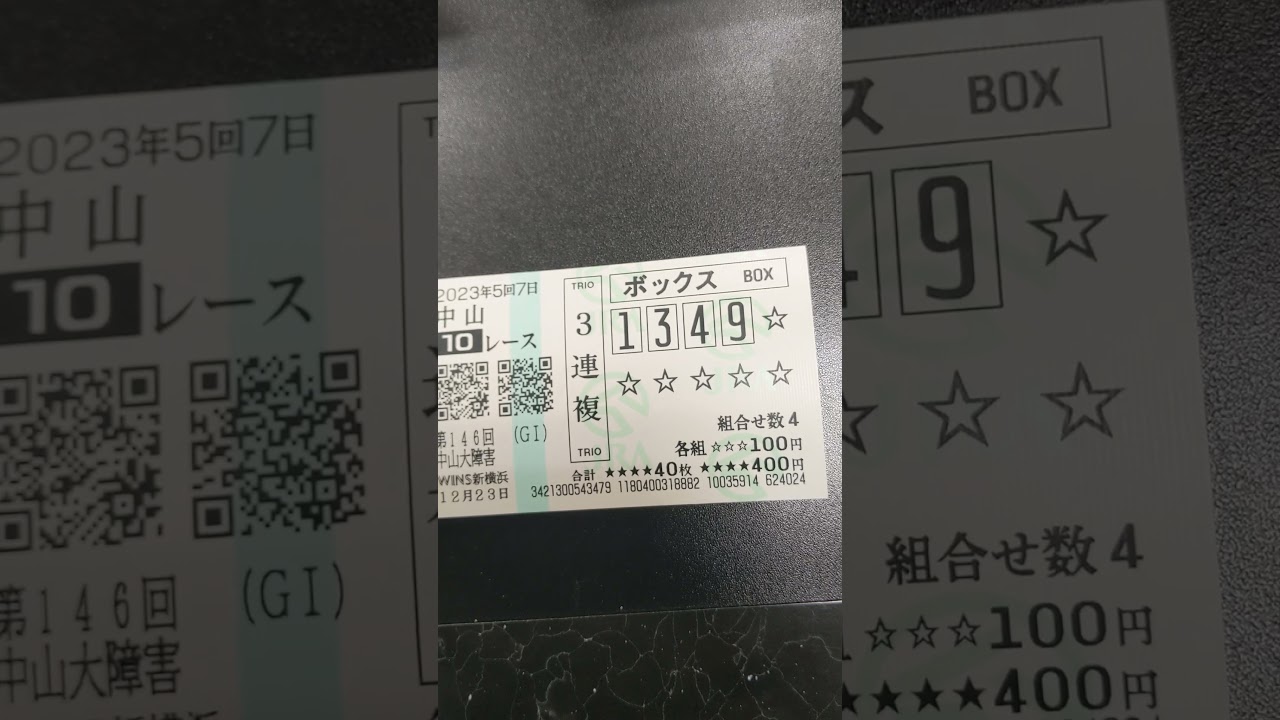 僕の中山大障害