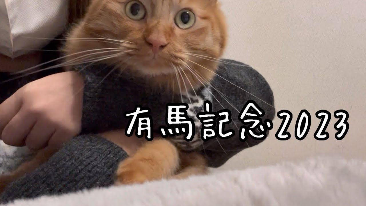 【有馬記念2023】阪神JF・朝日杯的中！有馬記念も的中させたい私のゆるい競馬予想。