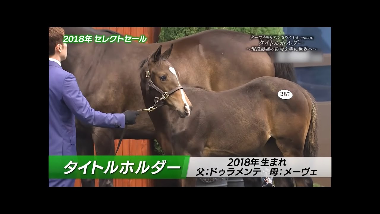 【ターフメモリアル】タイトルホルダー