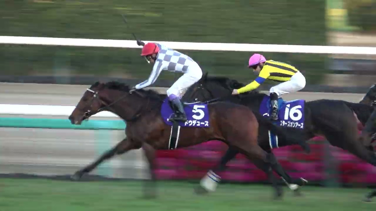 【武豊】【有馬記念2023】 千両役者‼ 武豊 ウィニングランで武豊コール‼ 現地映像 ドウデュース