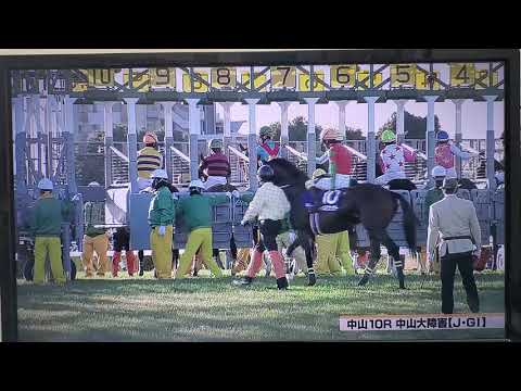 競馬収録放送 第146回中山大障害(ジャンプGⅠ)