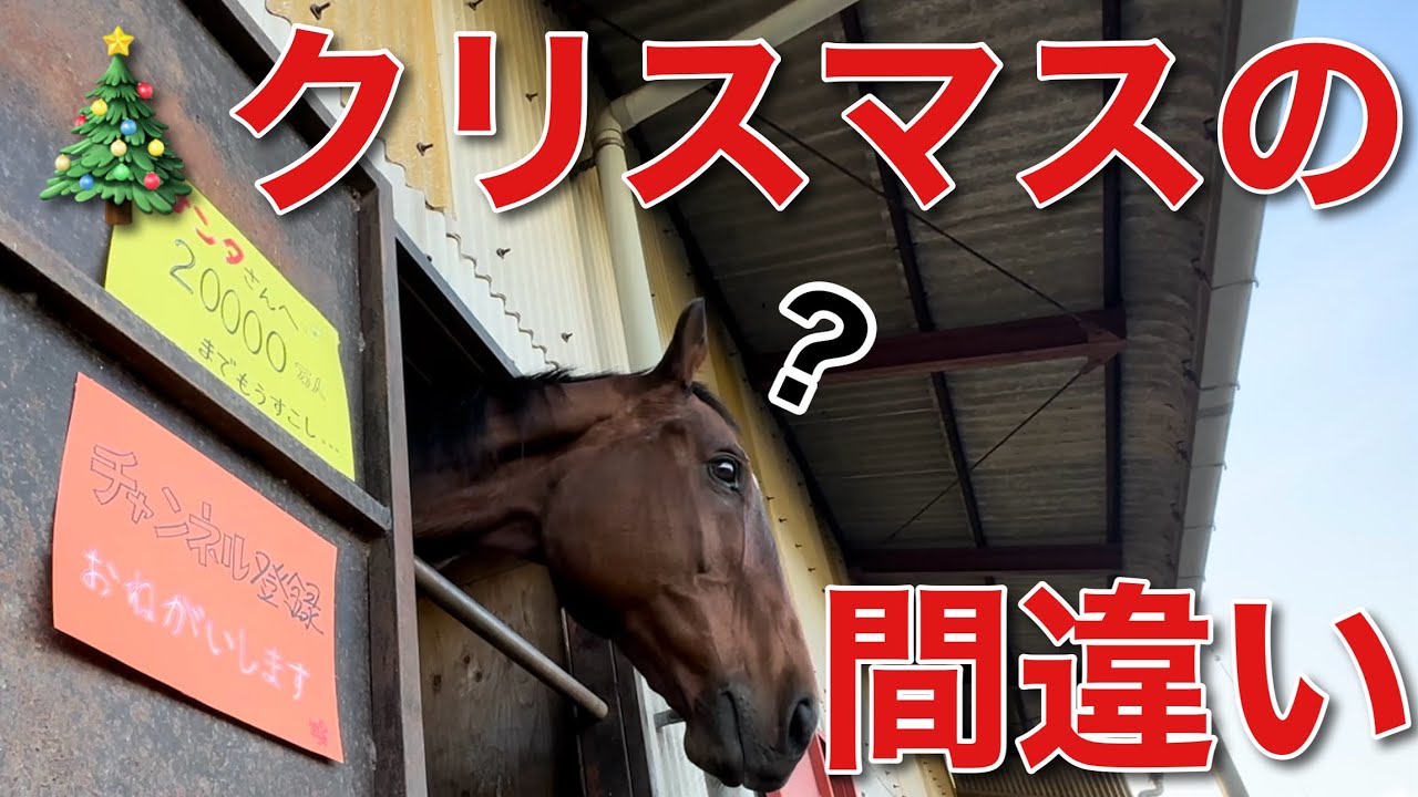 クリスマスの間違い‼