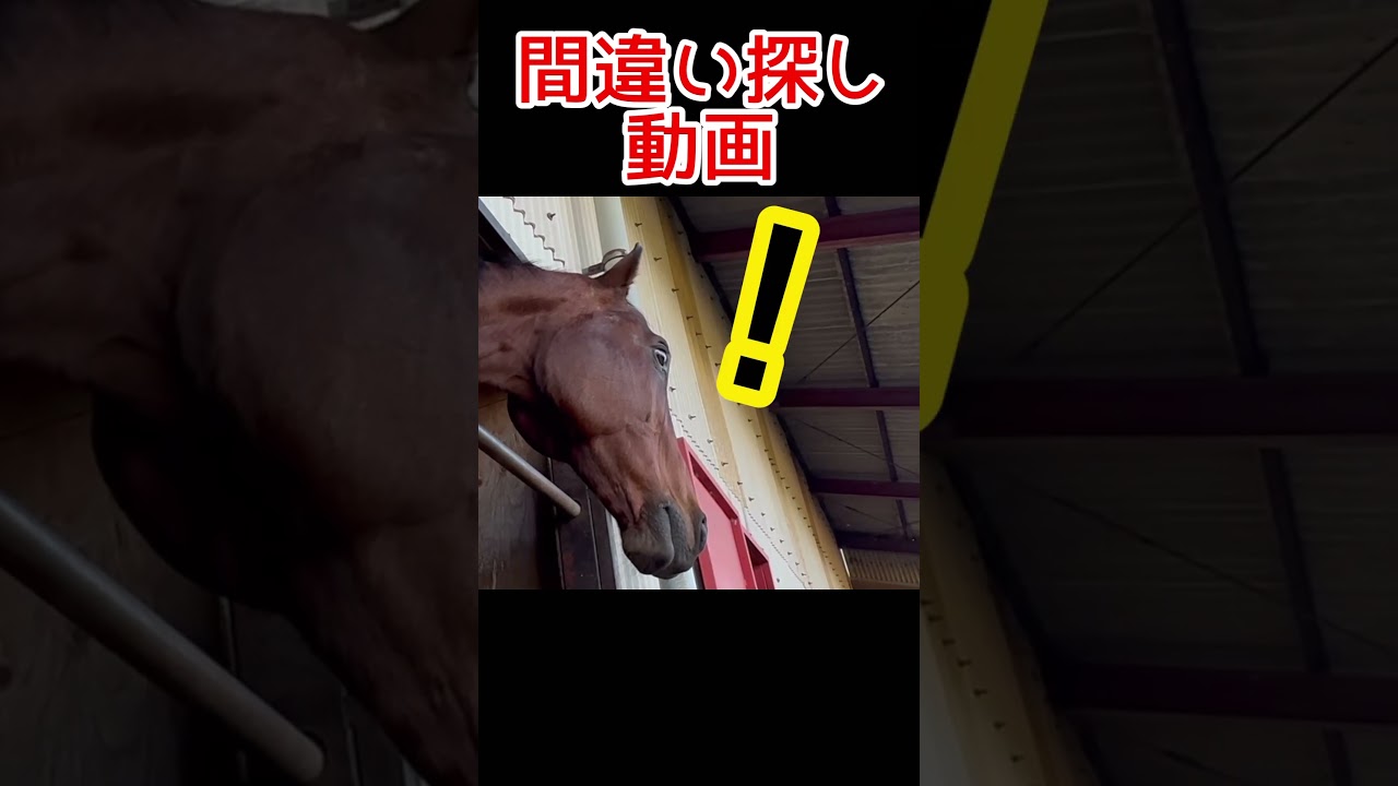 クリスマスの間違い探し　#クリスマス　#間違い探し