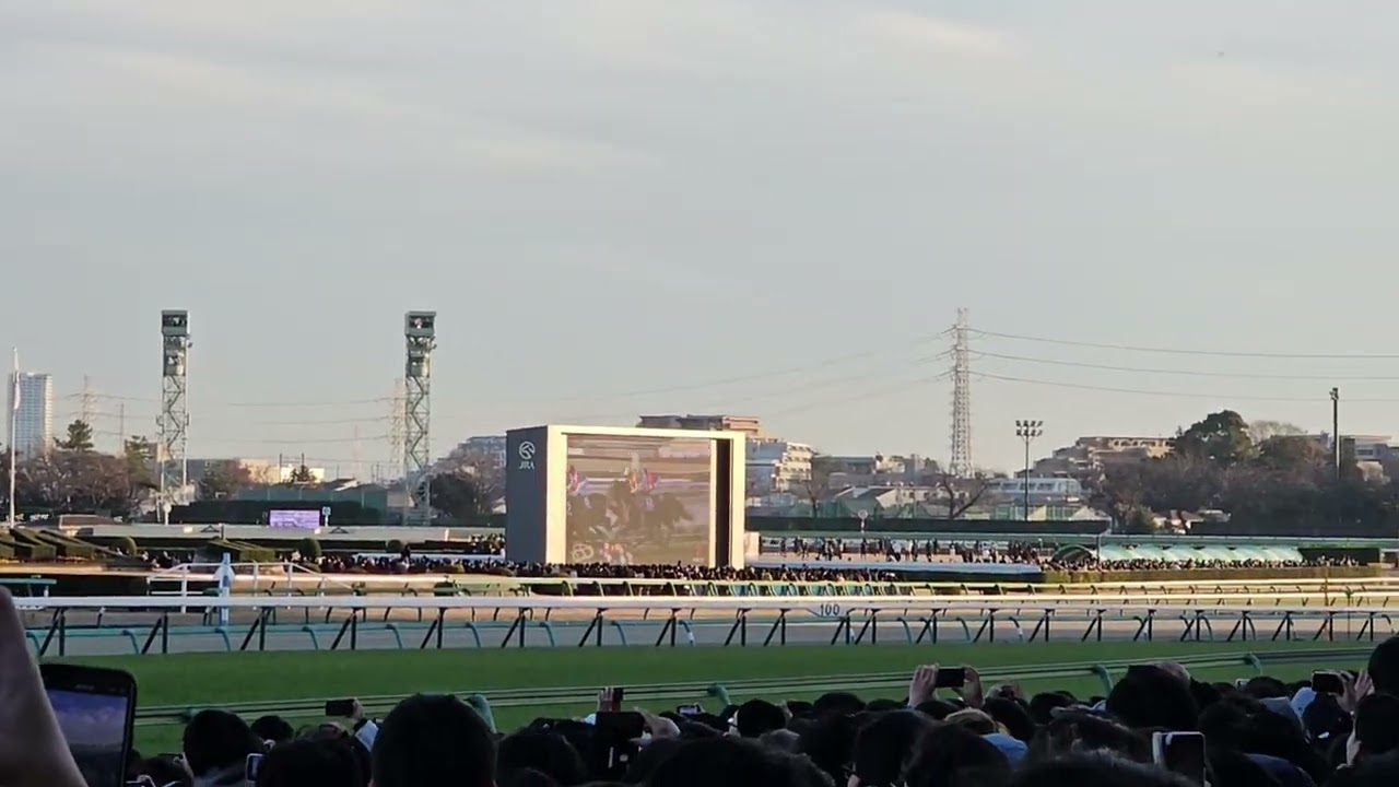 有馬記念(12月24日)#有馬記念2023 #ドウデュース