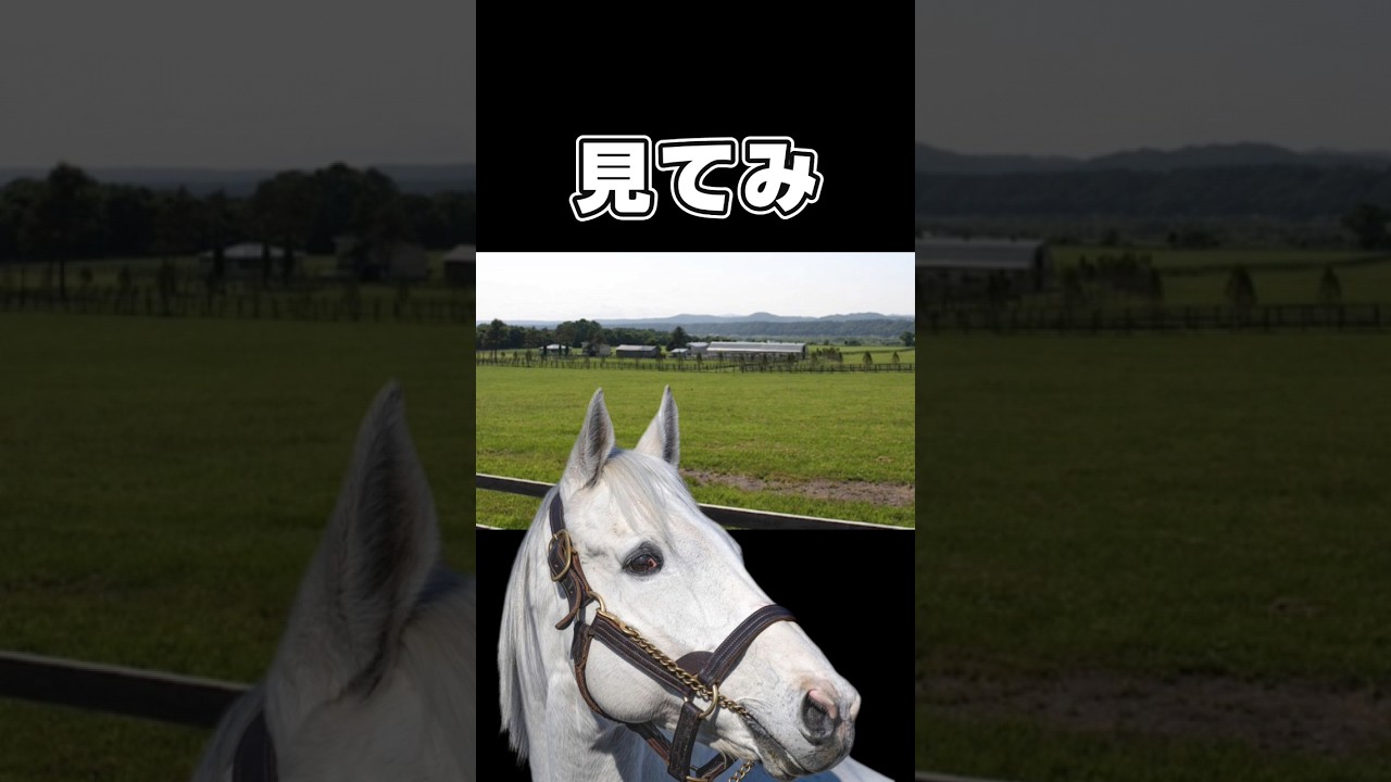 exショートアニメ『グロンが自分に似ていると言ってみたいゴルシ』　#競馬 #マイネルグロン #ゴールドシップ #オジュウチョウサン #中山大障害