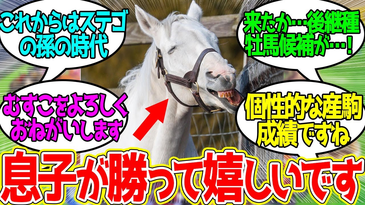 ゴールドシップ ← ほどほどにG1馬出すけど酷使されるほどでもない理想的な引退生活に対するみんなの反応！【競馬 の反応集】