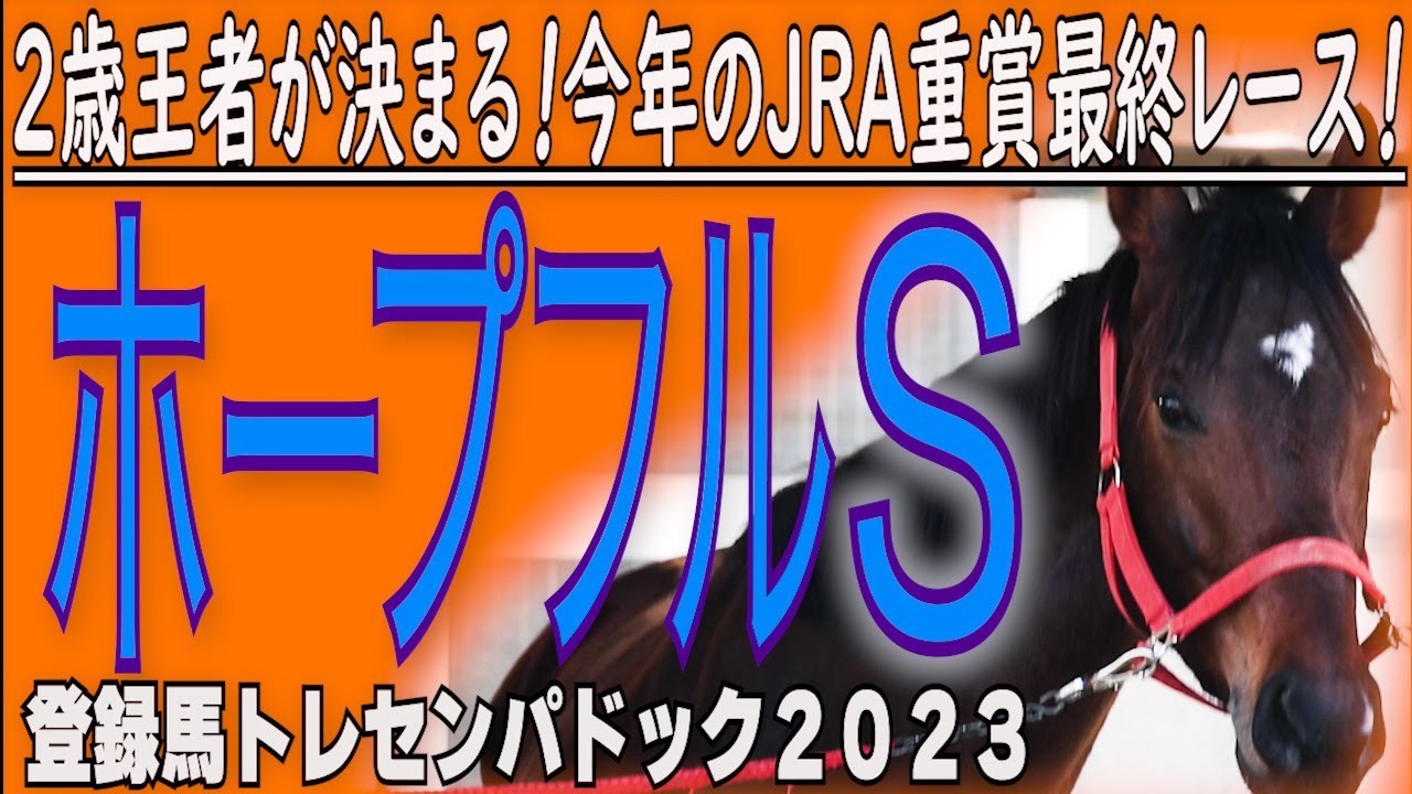 2歳王者決定戦！今年JRA重賞最終レース　/     ホープフルＳ（GⅠ）中山競馬場　11Ｒ   芝2000m　登録馬トレセンパドック2023