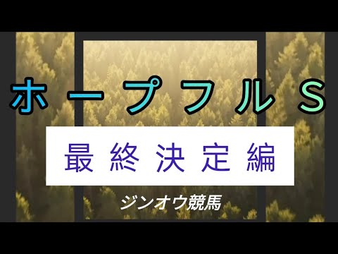 副業競馬　ホープフルステークス2023　最終決定編　有馬負けたが、負けられない戦い　