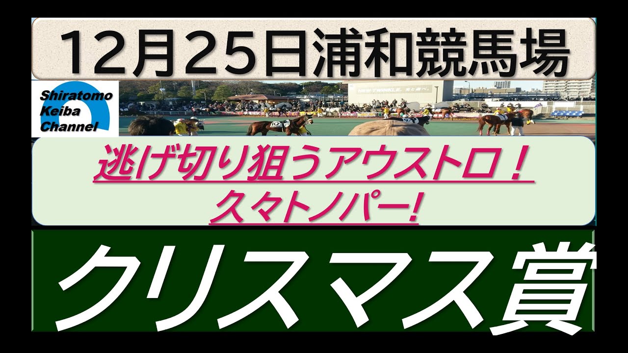 【競馬予想】クリスマス賞～２０２３年１２月２５日 浦和競馬場 ：１２－２７
