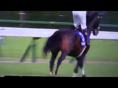 ディープモンスター&タイトルホルダー@天皇賞春2023