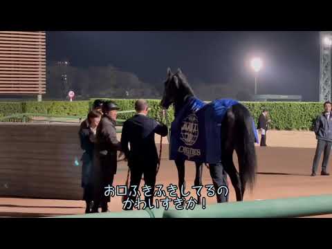 ターコイズS /イクイノックス引退式/VLOG