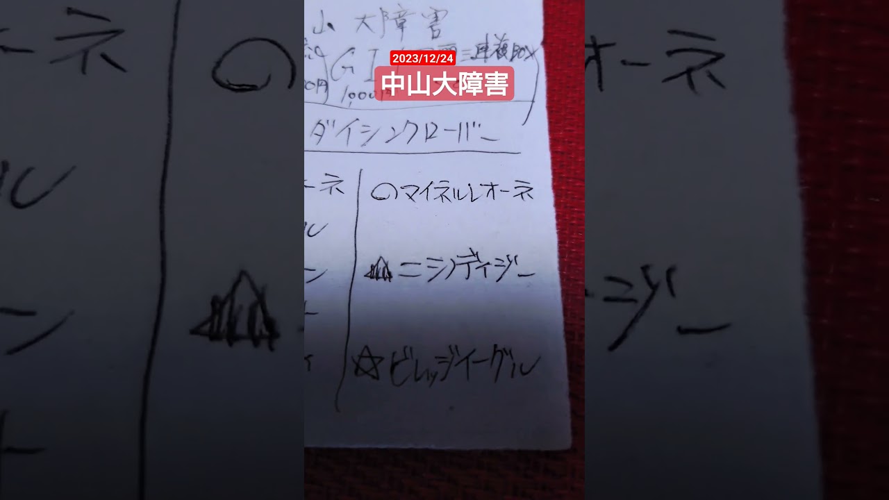 2023/12/23中山大障害・予想