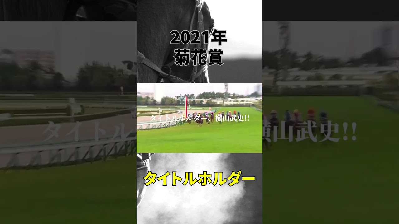 【競馬】2021年菊花賞で魅せてくれた　タイトルホルダー　の走りを今年の有馬でももう一度期待しています🏇 #競馬 #投資 #レース結果 #名シーン #名馬 #shots