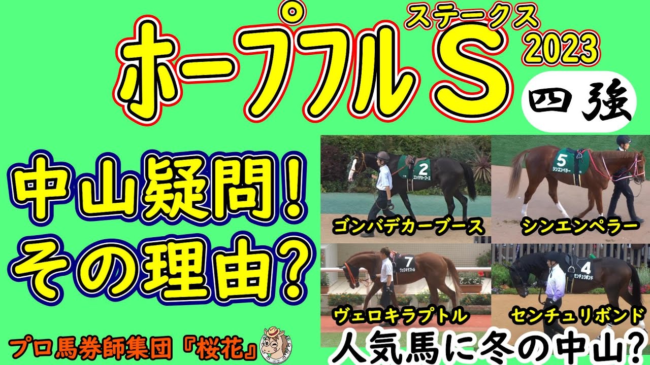 ホープフルステークス2023コース形態から読み解く人気馬の考察！抽選対象のレガレイラを除く人気を集めそうな４頭はそれぞれ死角はないのか？プロ馬券師集団桜花が各馬のレースを考察して弱点を見つけ出す！