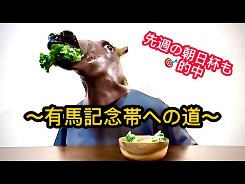 【有馬記念】帯を取るために馬になりきって予想してみたw