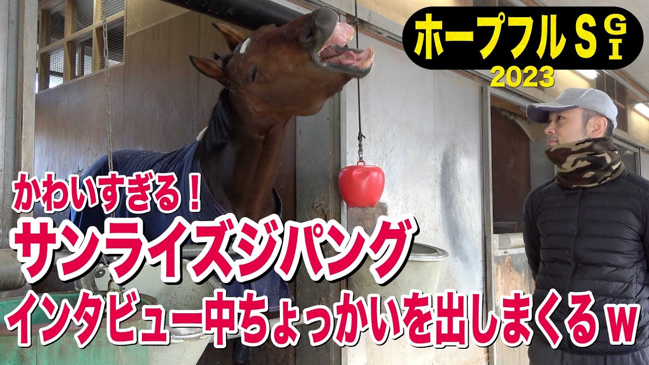 【ホープフルS2023】サンライズジパング・関係者インタビュー「重賞を勝てる馬。一発狙います！」《東スポ競馬》
