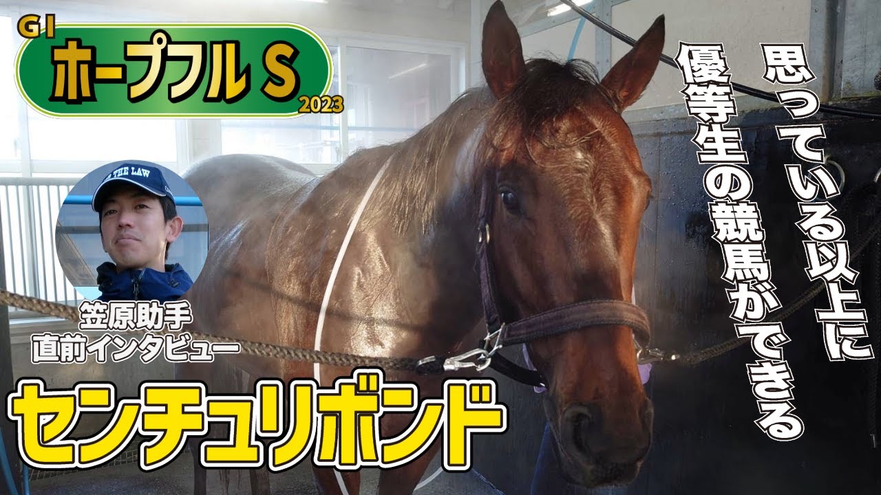【ホープフルS2023】センチュリボンド・笠原助手「こちらが思った以上に優等生の競馬をしてくれている」《東スポ競馬》