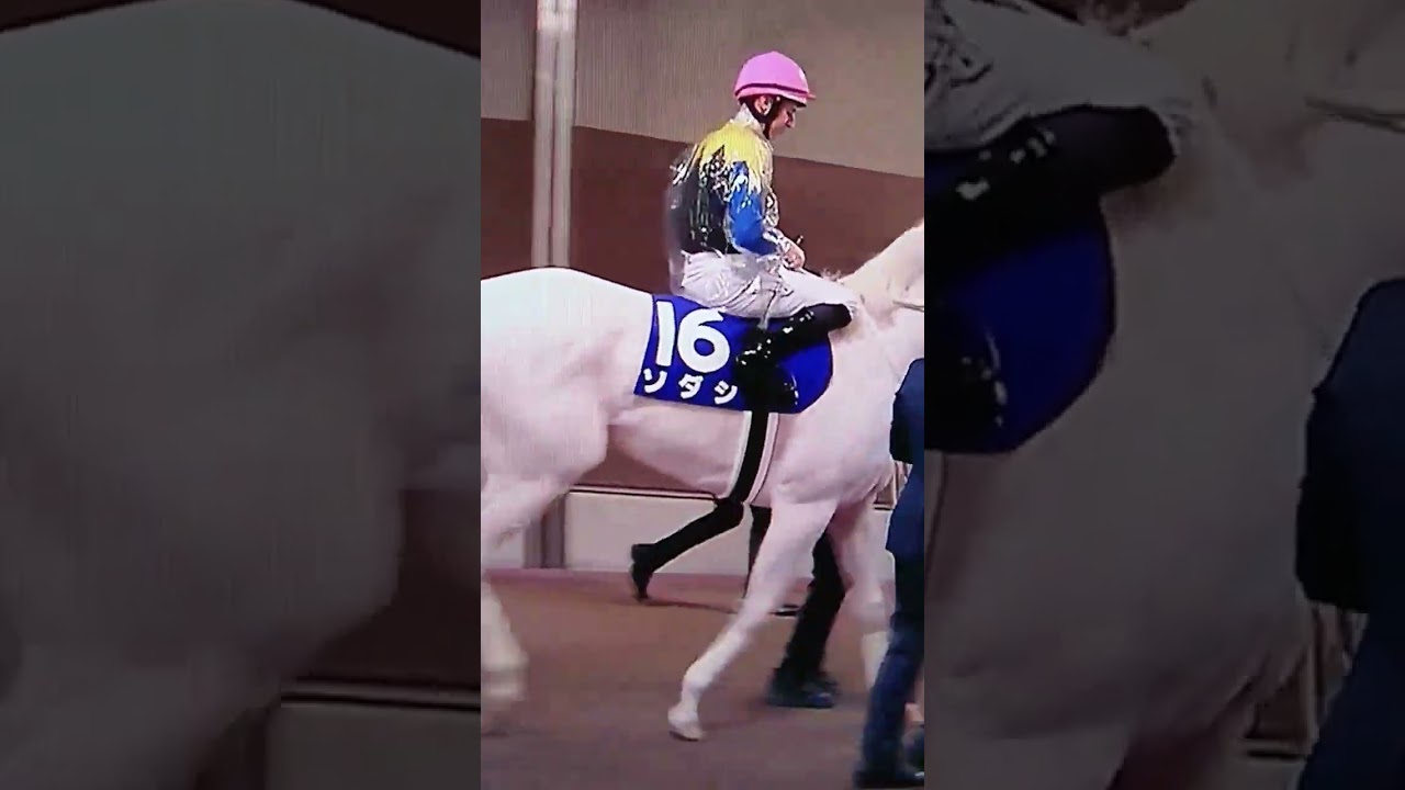 ソダシがんばれ！@2023ヴィクトリアマイル(G1)